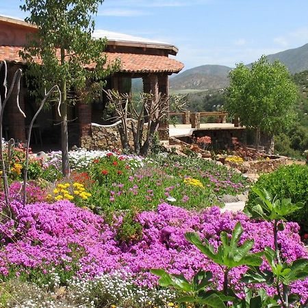 Quinta Maria En La Ruta Del Vino Bed & Breakfast Valle de Guadalupe Eksteriør bilde