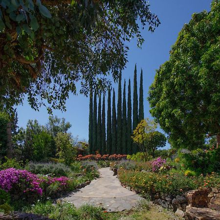 Quinta Maria En La Ruta Del Vino Bed & Breakfast Valle de Guadalupe Eksteriør bilde