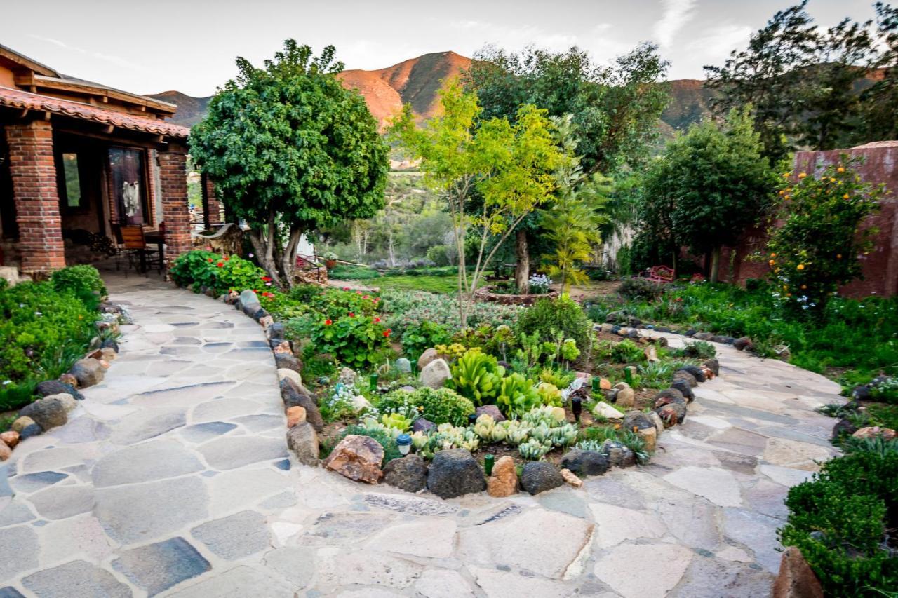 Quinta Maria En La Ruta Del Vino Bed & Breakfast Valle de Guadalupe Eksteriør bilde