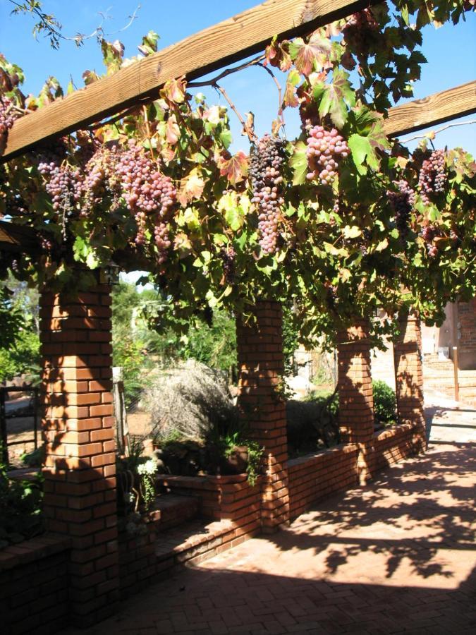 Quinta Maria En La Ruta Del Vino Bed & Breakfast Valle de Guadalupe Eksteriør bilde