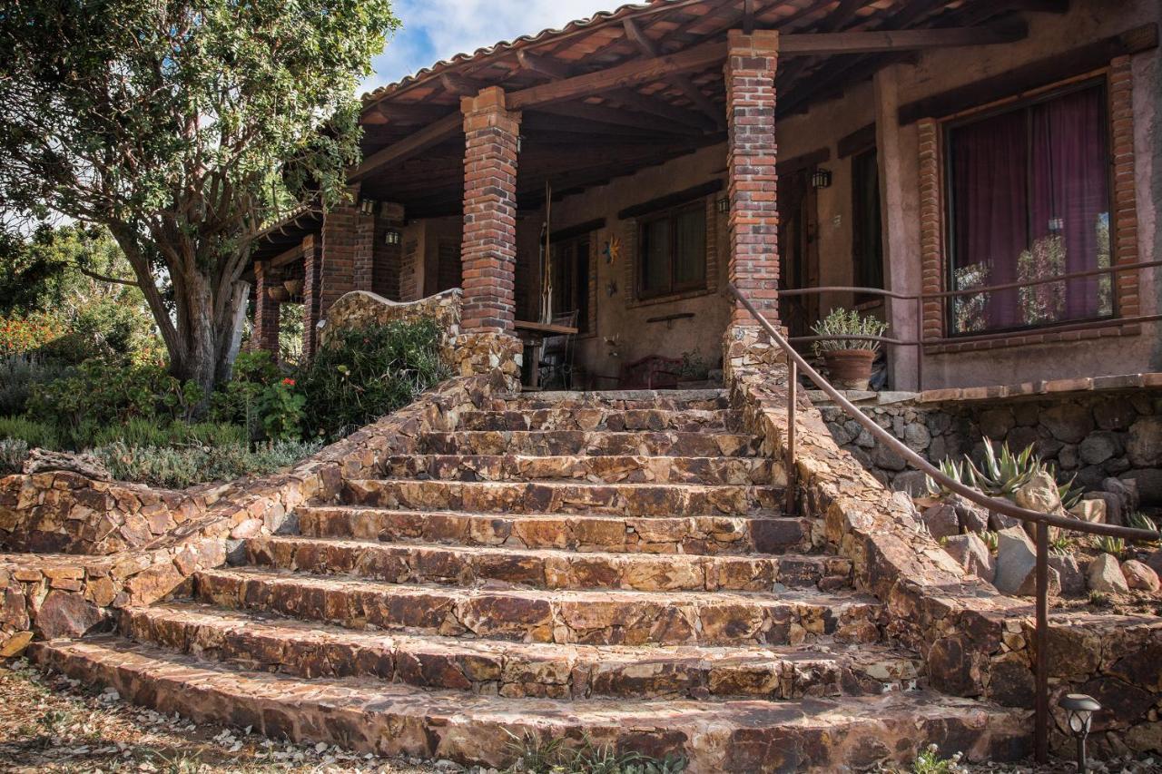 Quinta Maria En La Ruta Del Vino Bed & Breakfast Valle de Guadalupe Eksteriør bilde