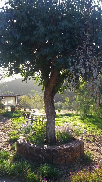Quinta Maria En La Ruta Del Vino Bed & Breakfast Valle de Guadalupe Eksteriør bilde